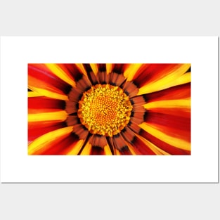 Sunshine Stripes Posters and Art